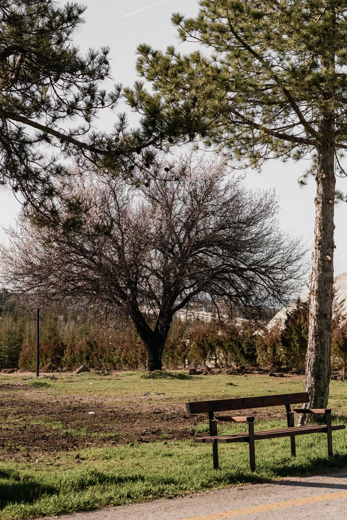 Quiet park bench representing a lower-stimulation place to pause and recover